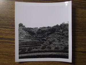 古写真　歴史資料　1949年9月長崎県長崎市　途中孤立した家に注目してください。　写真裏撮影年月日と英文　訳すると　