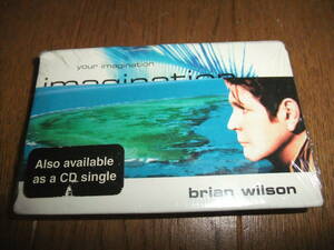 ブライアン・ウィルソン brian ailson/your imaginator シングル カセット 未開封品 beach boys