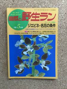 自然と野生ラン 1992年5月号　エビネ 春蘭 ショエノルキス セッコク ※ 園芸JAPAN