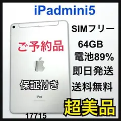 S 89% iPad mini 5 64 GB SIMフリー　Gold 本体