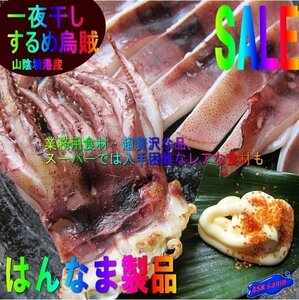 山陰境港産「スルメイカ 一夜干し3枚」600g位/　当港自慢の－はんなま製品－