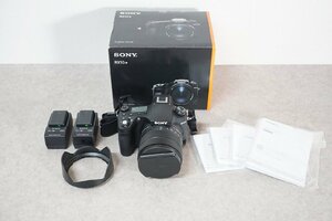 [QS][D4280710] SONY ソニー RX10IV DSC-RX10M4 Cyber-shot コンパクトデジタルカメラ バッテリー計3点/取扱説明書 等付属