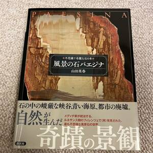 「風景の石パエジナ 不思議で奇麗な石の本」 山田 英春 定価: ￥ 1800 #山田英春 #山田_英春 #本 #自然／地学・天文学