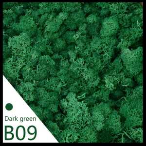 人工苔　深緑　40g ウィローモス　ジオラマ　模型　情景