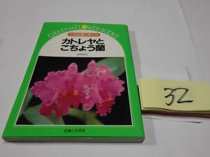 ３２合田弘之『カトレヤと胡蝶蘭』1990