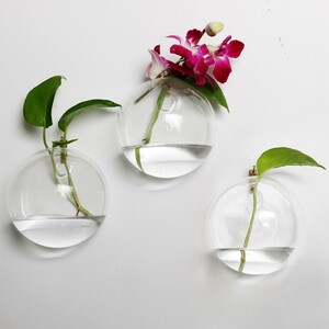 フラワーベース 花瓶 半円形 壁掛け用 ガラス製 3個セット