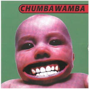 CHUMBAWAMBA TUBTHUMPER CD