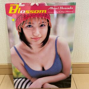 送料無料　細田あかり　写真集 Blossom 2002年5月10日発行　バウハウス　15歳Eカップ 