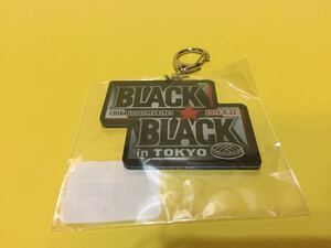 千葉ロッテマリーンズ　2019東京ドームブラックブラックダイカットキーホルダー　新品　BLACK BLACK
