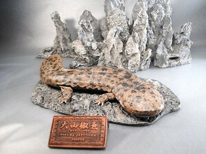 ◆3D＋ハンドメイド オオサンショウウオKAMOGAWA完成品レジン製 模型・教材・両生類◆