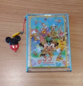 TOKYO Disney RESORT 30周年 鏡 雑貨 コレクション 折り畳み ミラー ミッキー ミニー マウス 東京ディズニーリゾート TDR