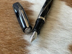 新品未使用 VISCONTI ビスコンティ 万年筆 ディヴィーナ ブラック オーバーサイズ ペン先14k 585 ケース付