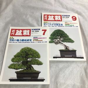 【即決】月刊 近代盆栽　KINBON　2008年7，9月号　近代出版　