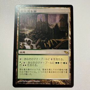 樹木茂る砦　日本語　MTG シャドウムーア