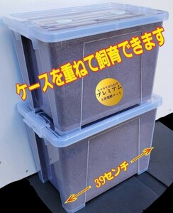 【2セット】20リットル特大ケース入り！プレミアム3次発酵カブトムシマット　幼虫を入れるだけ　便利です！　深いので大型成虫羽化できる　