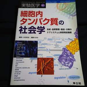 実験医学増刊　細胞内タンパク質の社会学　