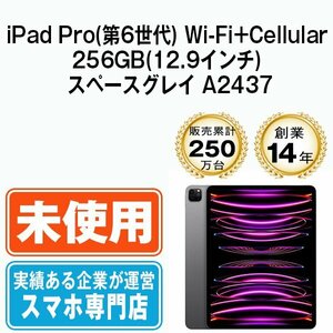 新品 iPad Pro(第6世代) 256GB スペースグレイ A2437 Wi-Fi+Cellular 12.9インチ 第6世代 2022年 本体 未使用品 SIMフリー