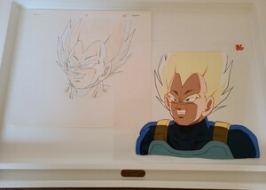 DRAGON BALL　セル画　スーパーサイヤ人　ベジータ　直筆動画付き　検　ドラゴンボール　鳥山明