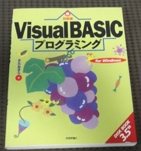 ☆Visual BASICプログラミング　技術評論社　☆
