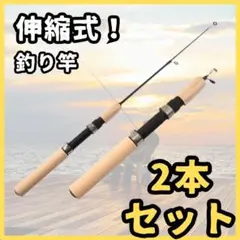 2本セットコンパクト30cm釣り竿穴釣りロッドアジ子供エビテトラワカサギ