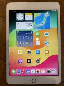 iPad mini 5世代 256G ジャンク