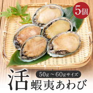 ☆お刺身で食べられる☆　あわび 50g-60gサイズ 5個入り