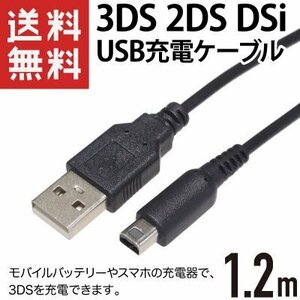 任天堂 3DS本体用USB充電器ケーブル 2本