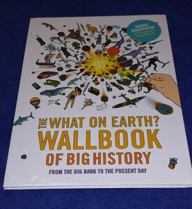 ○○ 洋書絵本 THE What on Earth？ WALLBOOK Of Big History　　19R26P39