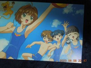 カードキャプターさくら ポストカード ② 水着 / アニメディア1999年8月号付録 イラストカード