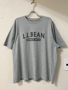 大きなサイズ L.L.Bean エルエルビーン カレッジ アーチロゴデザイン 半袖 Tシャツ 