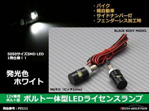 ボルト型 汎用 LEDナンバー灯 バイク/車に 2個SET 黒BODY PZ111