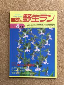 自然と野生ラン 1993年4月号　ユキワリソウ 春蘭 ウチョウラン シダ エビネ カンアオイ ※ 園芸JAPAN