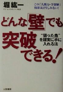 どんな「壁」でも突破できる！ “狙った魚”を確実に手に入れる法／堀紘一(著者)