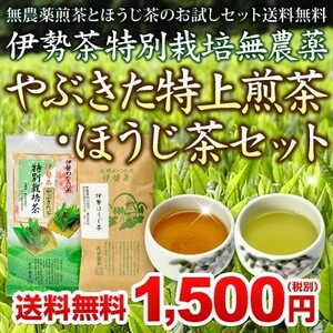 伊勢茶 特別栽培 無農薬 やぶきた 特上煎茶 ほうじ茶 セット メール便 送料無料 ( 無農薬茶 煎茶 緑茶 焙じ茶 お茶 茶葉 ）