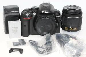 【美品】Nikon ニコン D5300 デジタル一眼カメラ　+ AF-P-18-55mm 3.5-5.6レンズ 動作確認済 