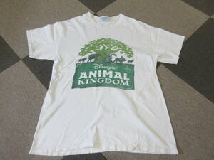 90s00s Disney アニマルキングダム Tシャツ Lサイズ 白 Hanes ヴィンテージ オールド ディズニーランド Animal kingdom DAK