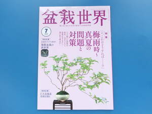 盆栽世界 2023年7月号/特集:梅雨時～真夏の問題と対策これはどうすれば？新梢が徒長枝葉斑点対策/塊根盆栽の新世界/巨大北海道真柏を創る