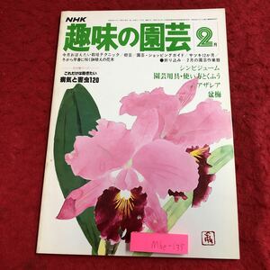 M6e-135 NHK 趣味の園芸 2月号 昭和54年2月1日 発行 NHKサービスセンター 雑誌 園芸 シンビジューム アザレア 管理 道具 盆栽 梅 バラ 随筆