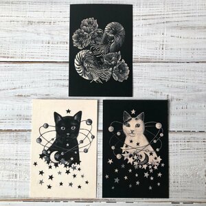 オリジナルポストカード３枚セット 「オウムガイ」「星月猫くろ」「星月猫ににこ」★ 猫 星月猫 アート