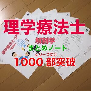 理学療法士(解剖学）要点まとめノート