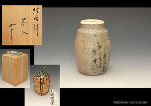 ☆星夢☆　西岡小十　絵唐津　茶入　仕覆付　共箱　茶道具　①