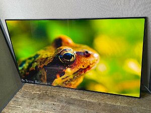 LG 有機ELテレビ OLED48C2PJA [48V型 /4K対応 /BS・CS 4Kチューナー内蔵 /YouTube対応 /Bluetooth対応] 2023年製造 美品