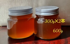 日本ミツバチ　百花蜜　蜂蜜　日本蜜蜂　長野県産　600g