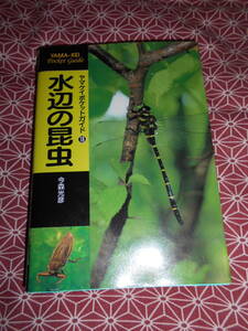 ★水辺の昆虫 ヤマケイポケットガイド１８　今森光彦／著★このポケットガイド片手に、タガメ、ゲンゴロウ、トンボ採集してみましょう。
