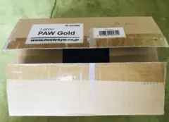 新品 国内正規品 Lotoo PAW Gold 希少 高級DAP