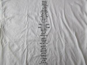 ケイ・ローゼン オールド FOTOFOLIO HOMOPHONIA Tシャツ XL 白 KAY ROSEN 言語 メッセージ ビッグシルエット ART 芸術 現代美術 藤原ヒロシ