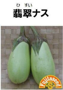 ＜野菜の種＞翡翠なす　ヒスイナス　３０粒　淡いグリーンの茄子　４種郵便にて発送