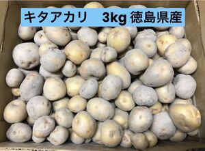 新じゃがいもキタアカリ3kgSSサイズ以下　徳島県産