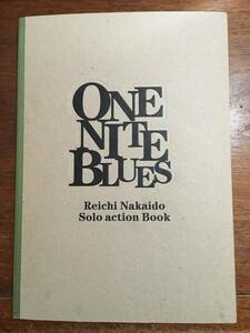 希少 自費出版 写真集 仲井戸麗市 One Nite Blues Reichi Nakaido Solo Action Book 撮影 岡田タカユキ