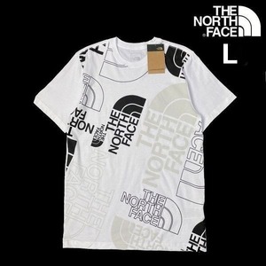 売切り【正規新品】THE NORTH FACE◆S/S GRAPHIC INJECTION TEE 半袖 Tシャツ US限定 グラフィック 男女兼用 キャンプ(L)白 180902-15